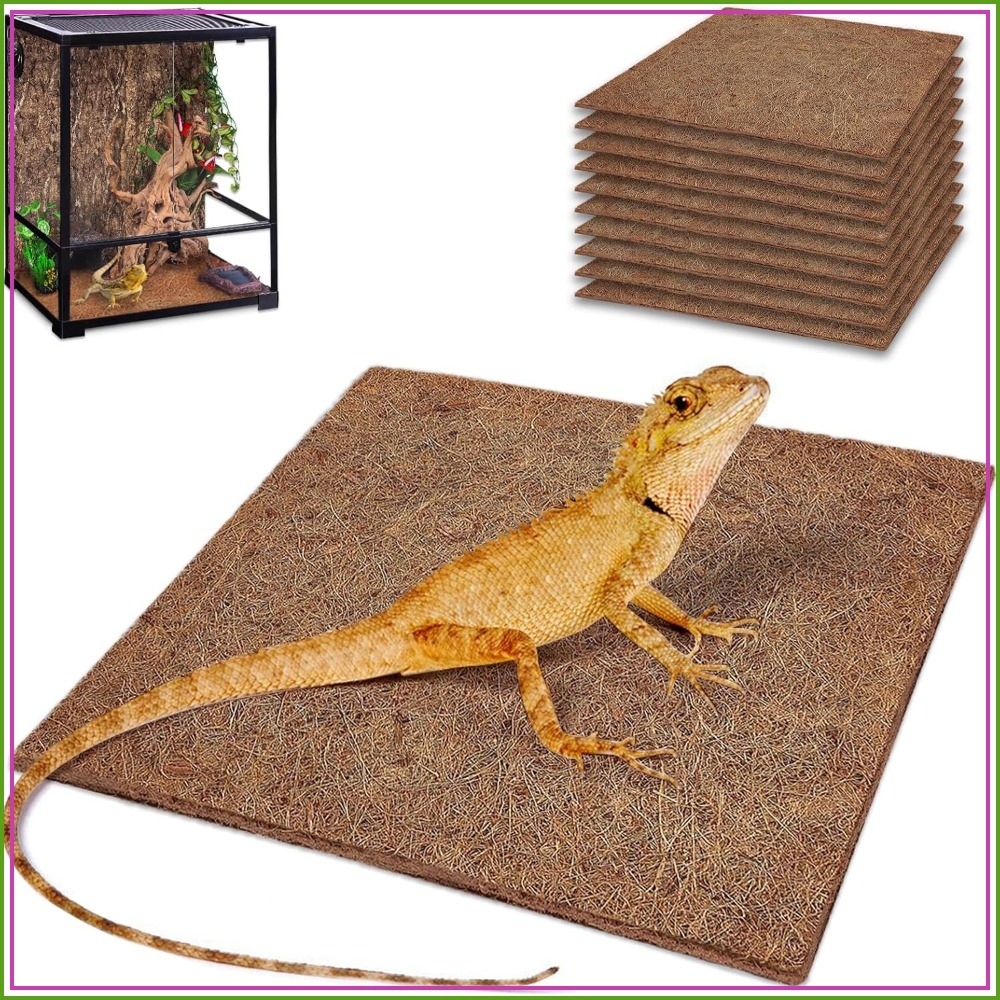10 Pcs Natural Coconut Fiber R - Substrate Coconut Fiber บทวิจารณ์และราคา