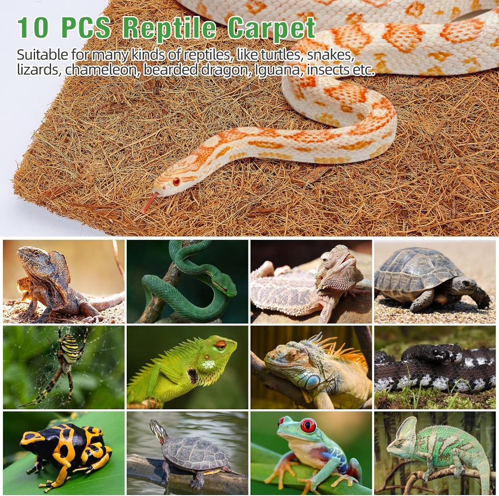 10 Pcs Natural Coconut Fiber R - Substrate Coconut Fiber บทวิจารณ์และราคา