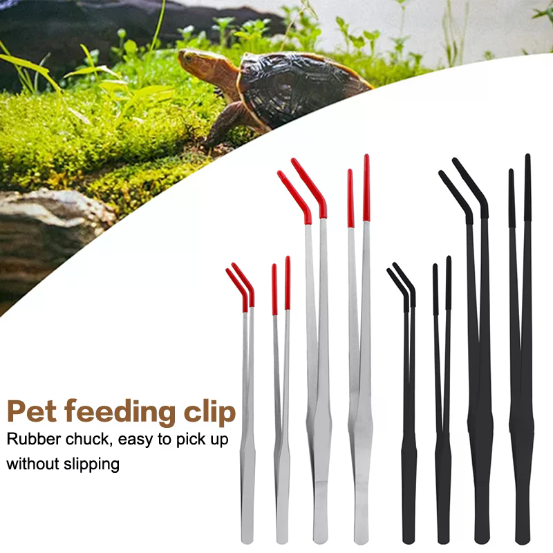 Stainless Steel Reptile Feedin - Feeding Tong Stainless บทวิจารณ์และราคา