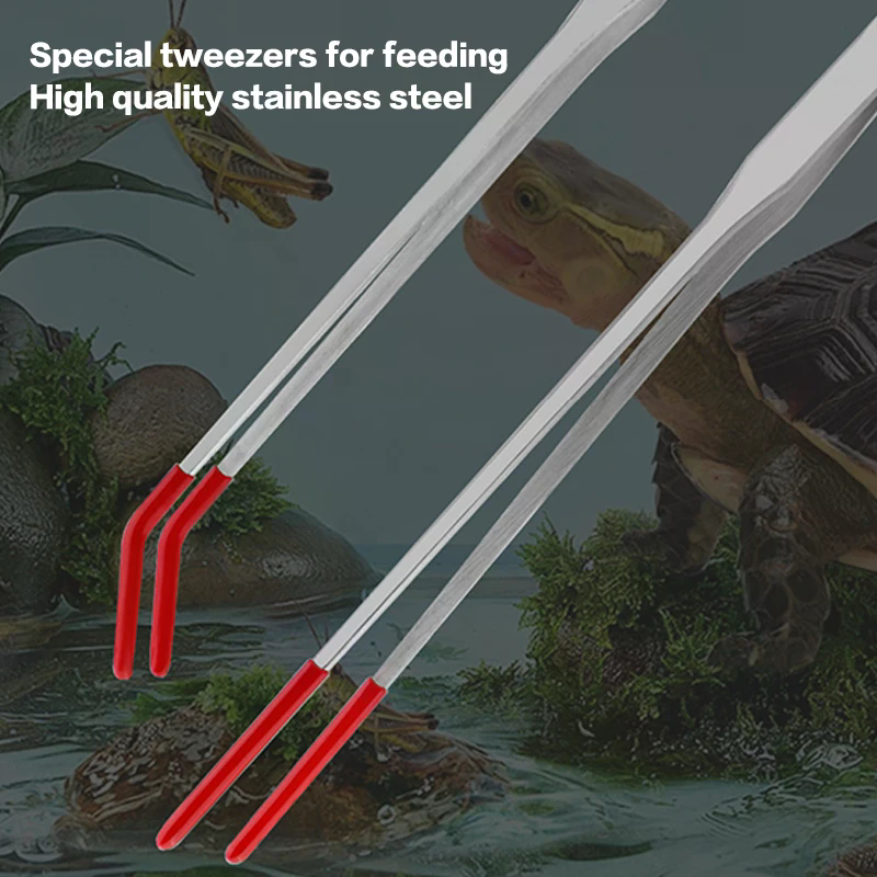 Stainless Steel Reptile Feedin - Feeding Tong Stainless บทวิจารณ์และราคา
