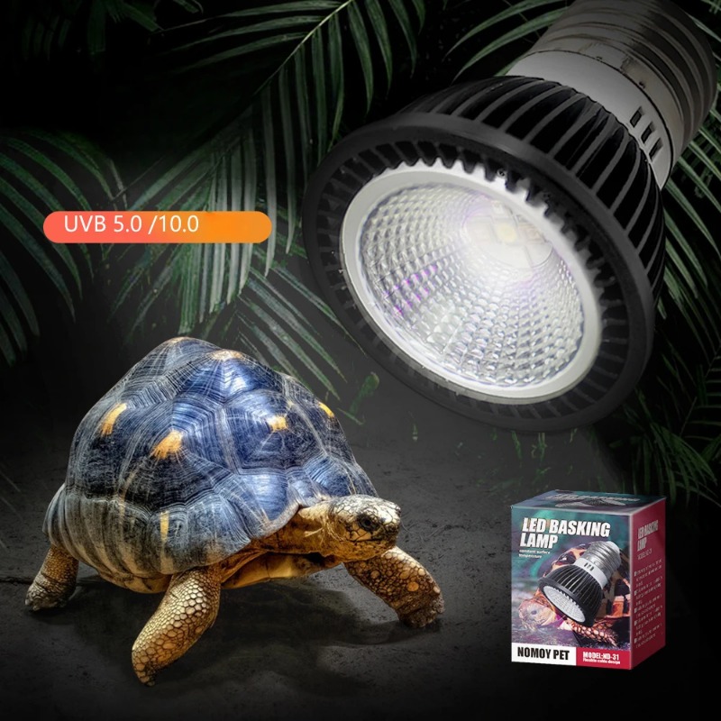 NOMOY Reptile 110/220V UVB+UVA - Calcium Powder Reptile บทวิจารณ์และราคา