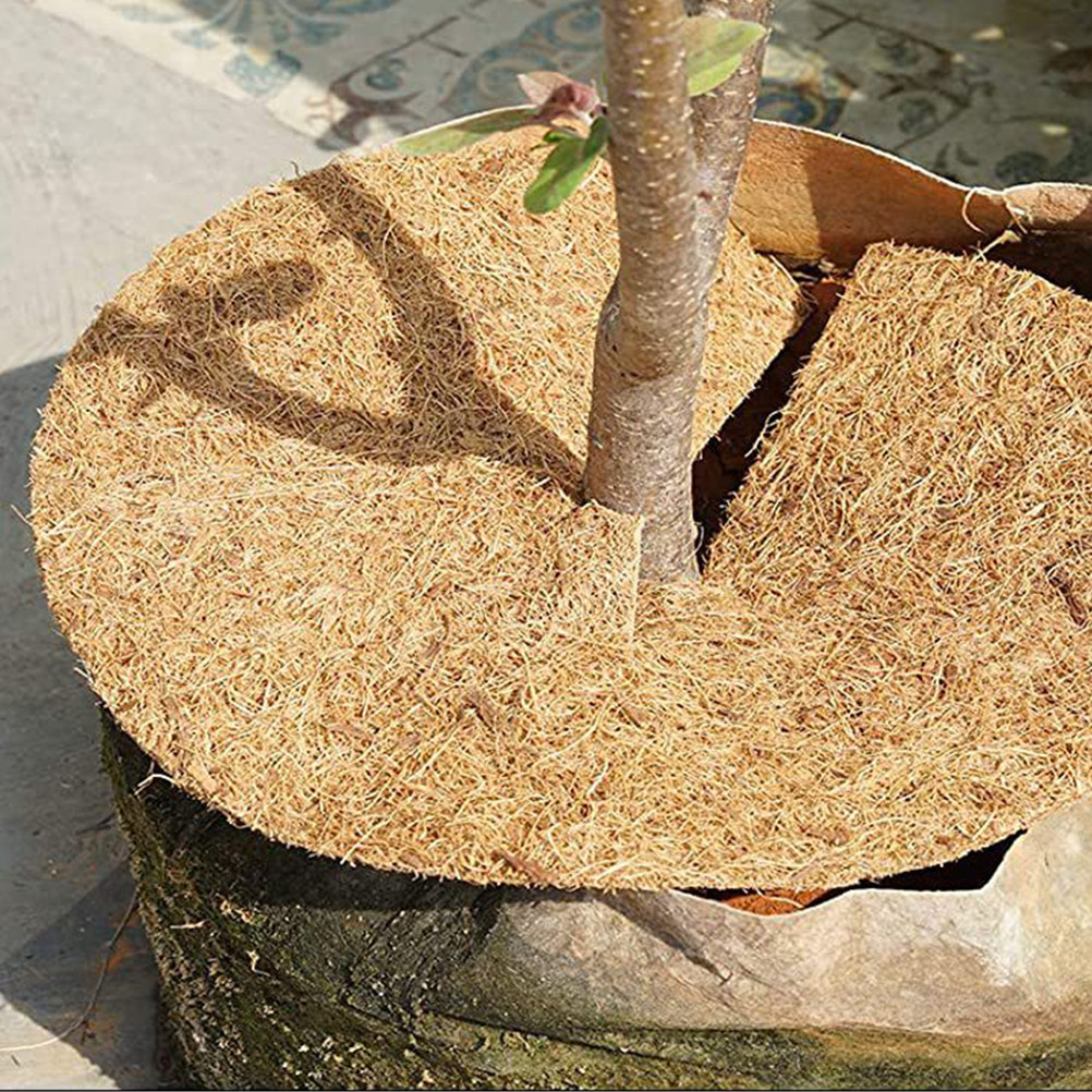 1 Roll Thick Coconut Fiber Lin - Substrate Coconut Fiber บทวิจารณ์และราคา