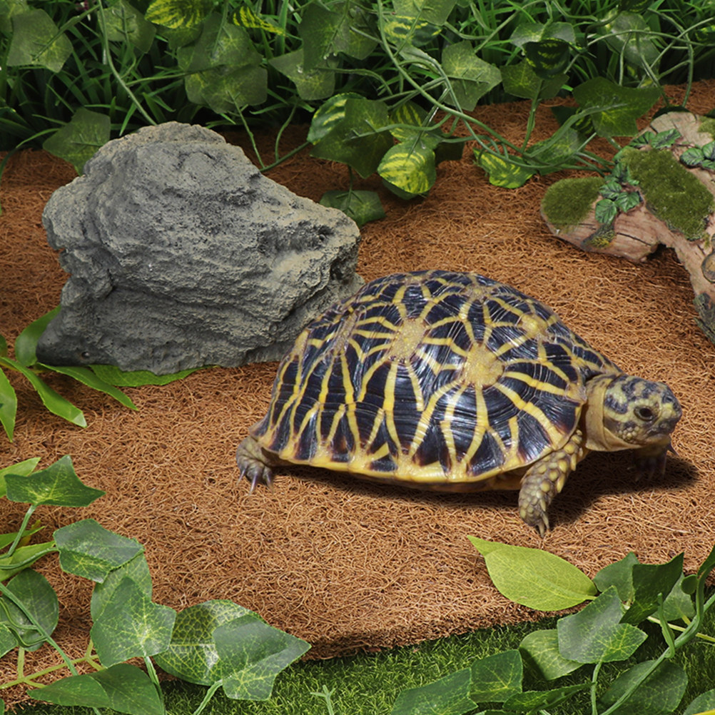 Terrarium Bedding for Reptiles - Substrate Coconut Fiber บทวิจารณ์และราคา