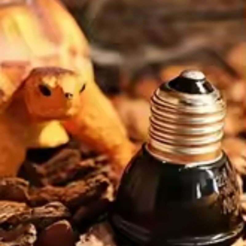 Reptile Ceramic Heat Emitter M - Ceramic Heat Emitter บทวิจารณ์และราคา