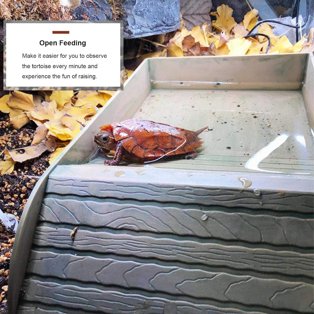 Turtle Bathing Pool Feeding Di - Water Dish Reptile บทวิจารณ์และราคา