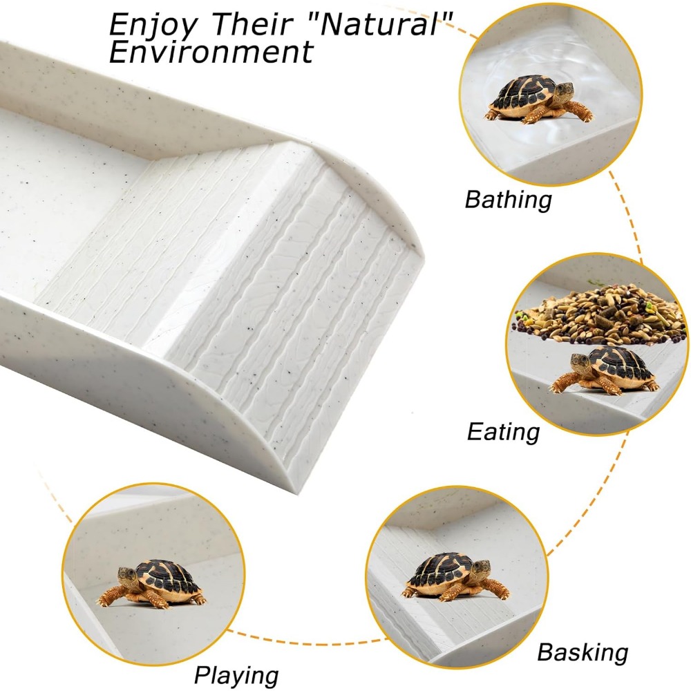 Turtle Bathing Pool Feeding Di - Water Dish Reptile บทวิจารณ์และราคา