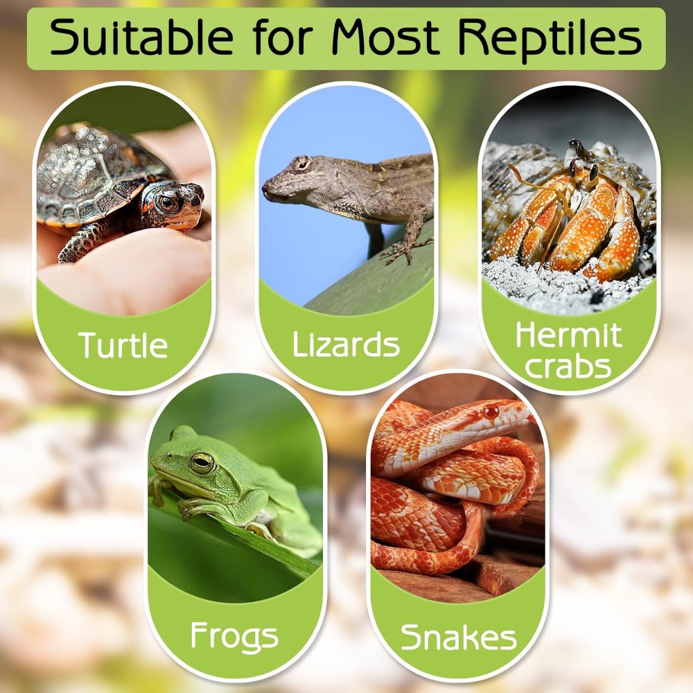 Turtle Bathing Pool Feeding Di - Water Dish Reptile บทวิจารณ์และราคา