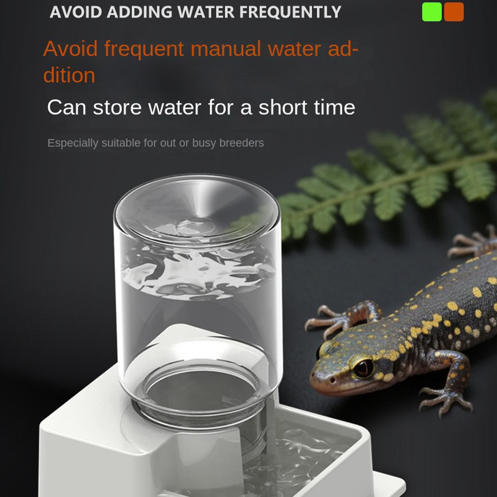 Bearded Dragon Water Fountain  - Water Dish Reptile บทวิจารณ์และราคา