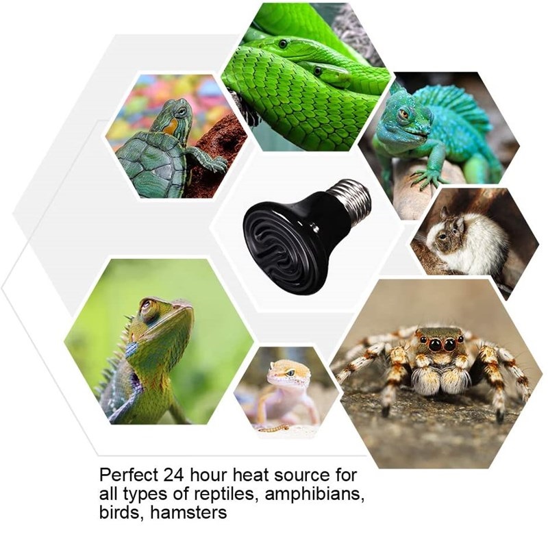 Reptile Heating Lamp for Turtl - Ceramic Heat Emitter บทวิจารณ์และราคา