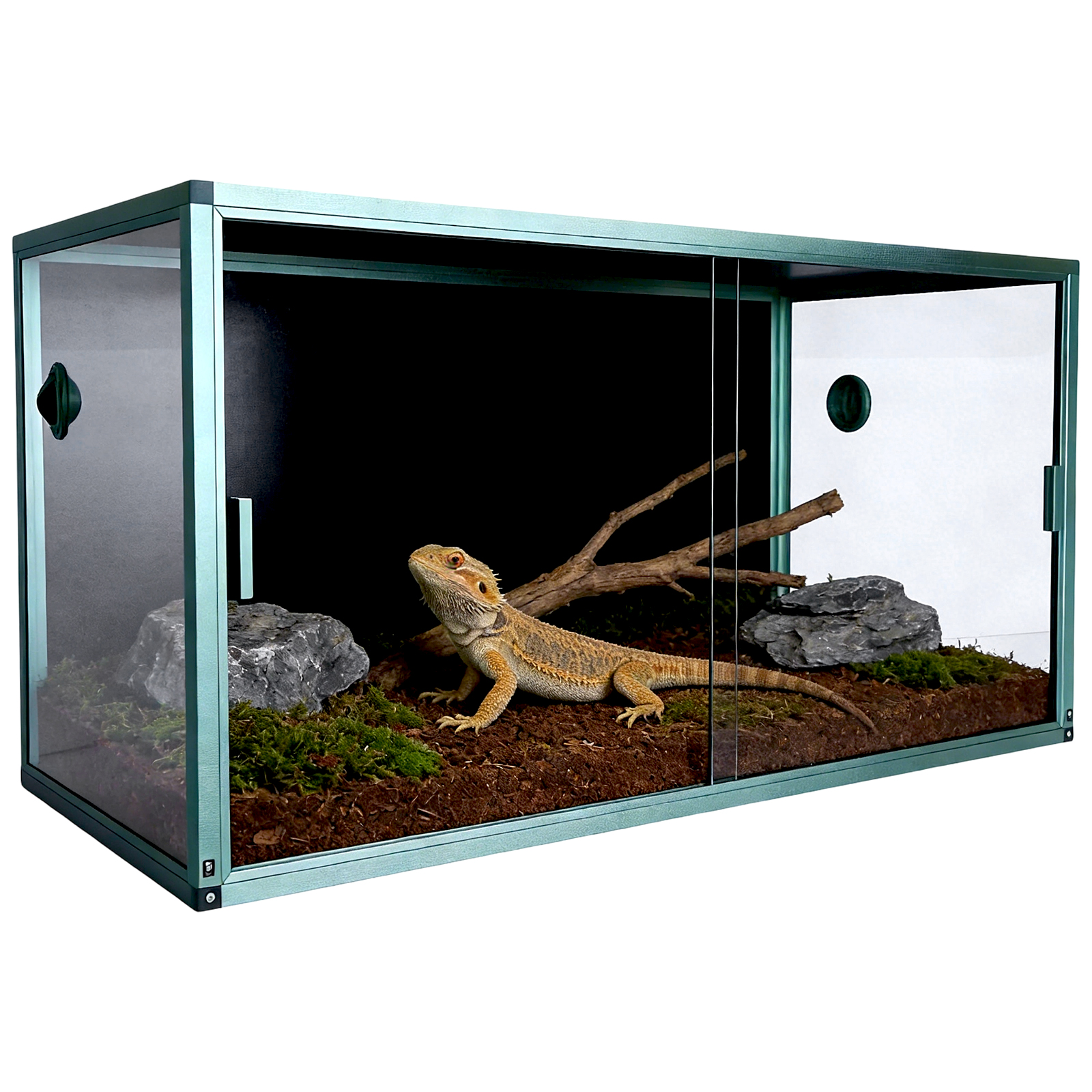 120 Gallon Bearded Dragon Tank - Screen Top Mesh บทวิจารณ์และราคา