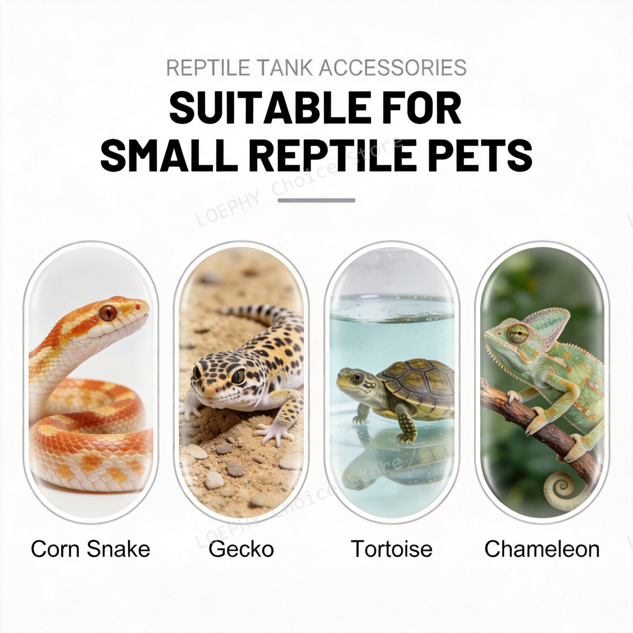 Castle Reptile Water Bowl Lion - Water Dish Reptile บทวิจารณ์และราคา
