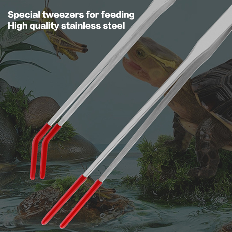 Reptile Feeding Tongs with Rub - Feeding Tong Stainless บทวิจารณ์และราคา