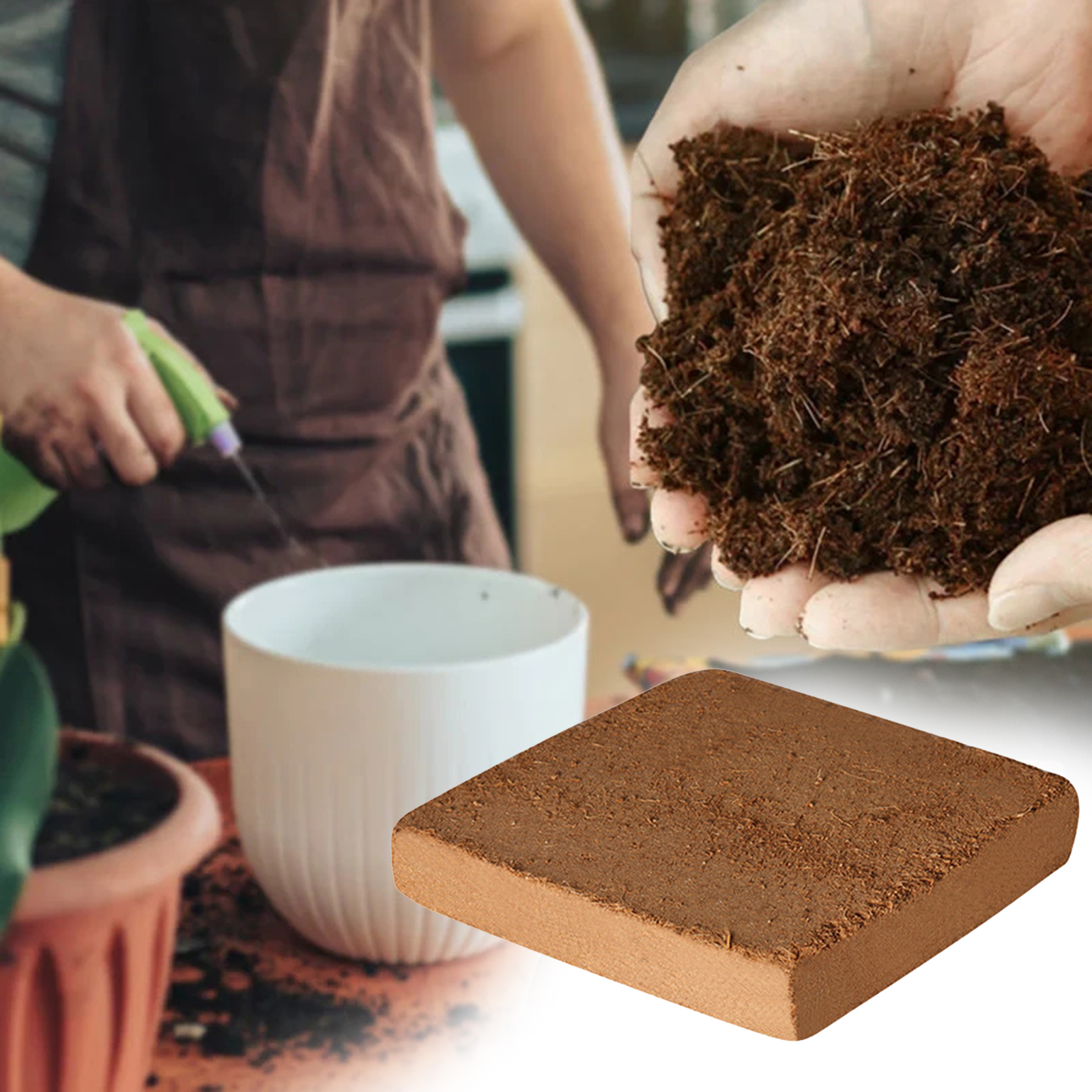 Soil Coconut Fibre Terrarium S - Substrate Coconut Fiber บทวิจารณ์และราคา