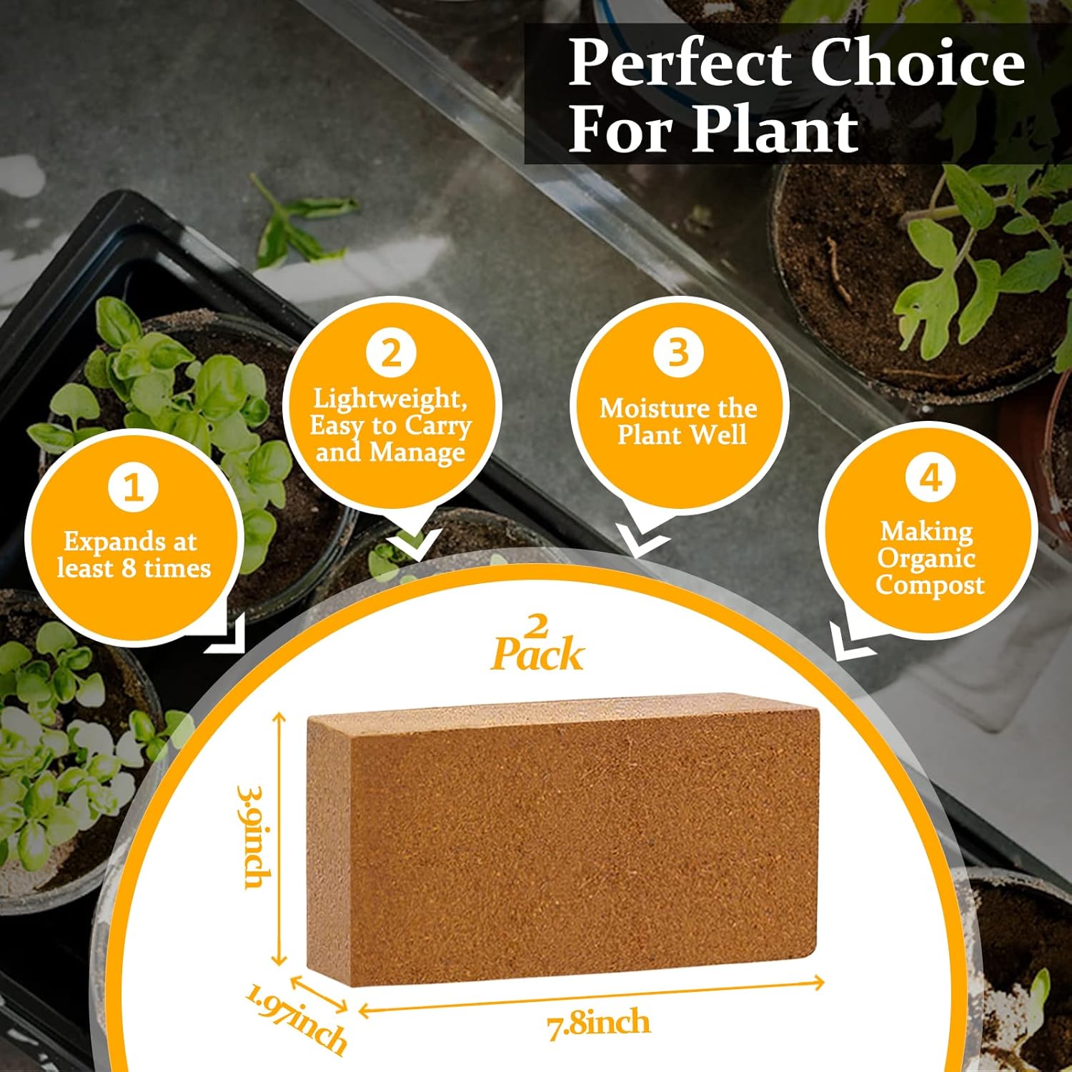 2pcs Organic Coco Coir Bricks  - Substrate Coconut Fiber บทวิจารณ์และราคา