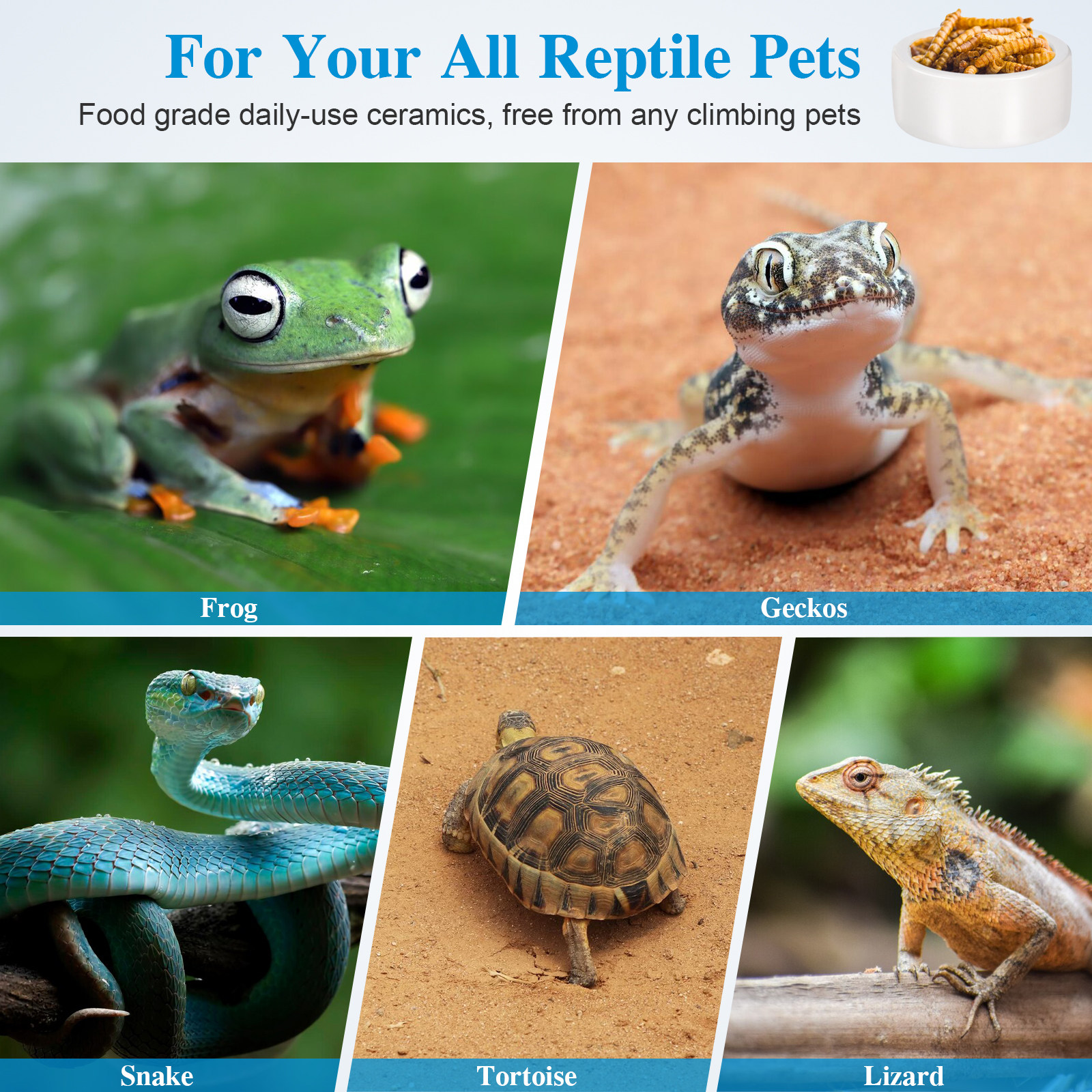 3Pcs Ceramics Reptile Feeding  - Water Dish Reptile บทวิจารณ์และราคา